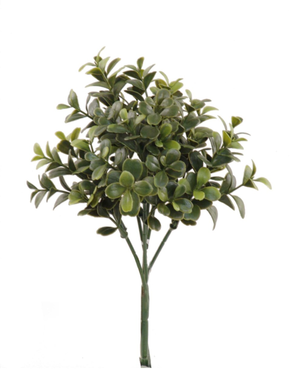 Charming 10" Boxwood Pick Set, 24 Pieces - Green Indoor/Outdoor Decorative Accent, Ideal for Home Decor and Garden Enrichment